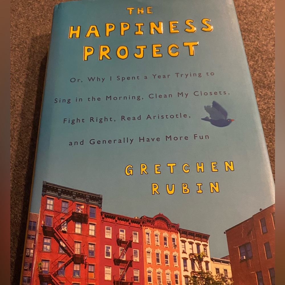 PRE-LOVED “THE HAPPINESS PROJECT” New York bestseller book! 👌🏽